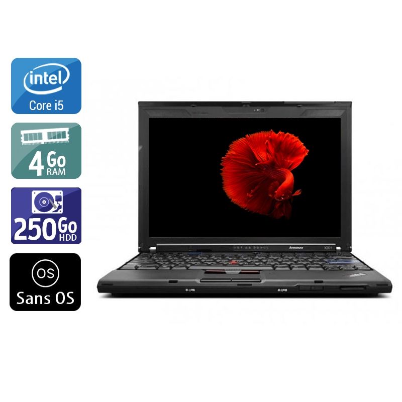 Lenovo ThinkPad X201 i5 4Go RAM 250Go HDD Sans OS