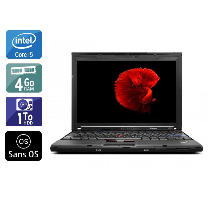 Lenovo ThinkPad X201 i5 4Go RAM 1To HDD Sans OS