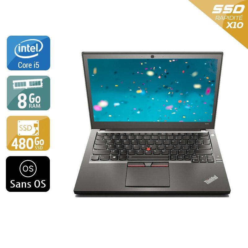Lenovo ThinkPad X250 i5 8Go RAM 480Go SSD Sans OS