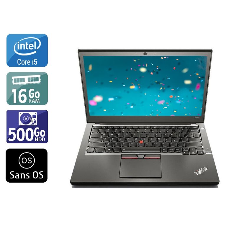 Lenovo ThinkPad X250 i5 16Go RAM 500Go HDD Sans OS