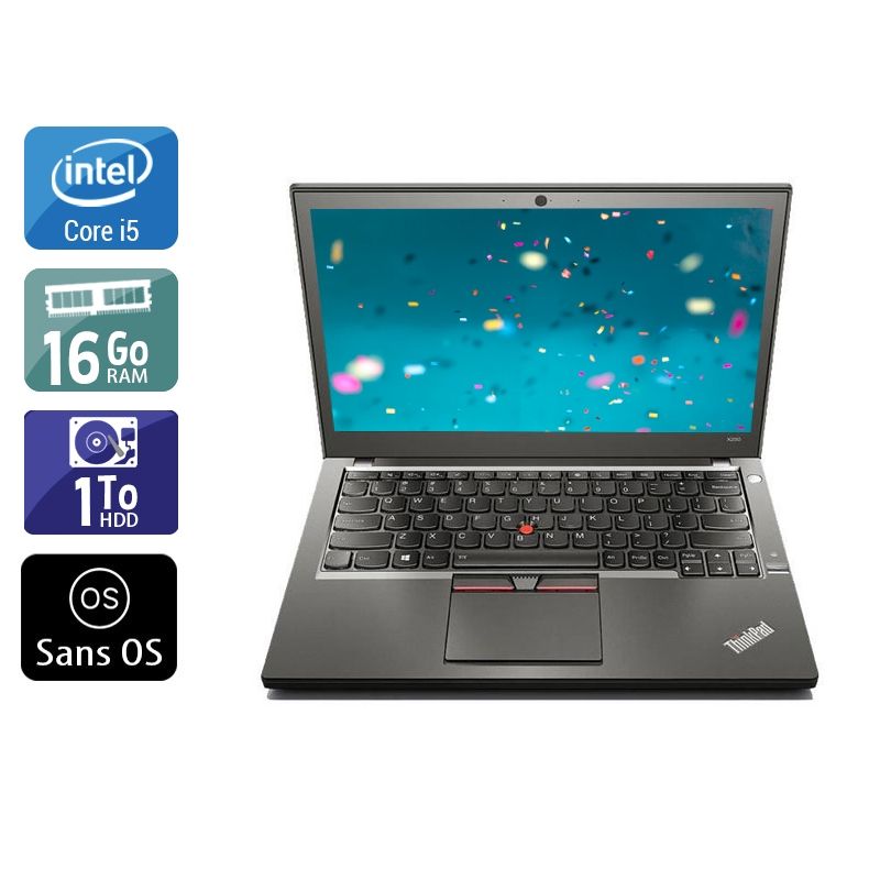 Lenovo ThinkPad X250 i5 16Go RAM 1To HDD Sans OS