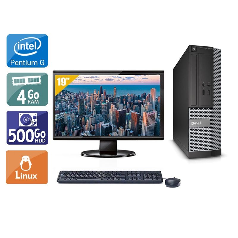 Dell Optiplex 3010 SFF Pentium G Dual Core avec Écran 19 pouces 4Go RAM 500Go HDD Linux