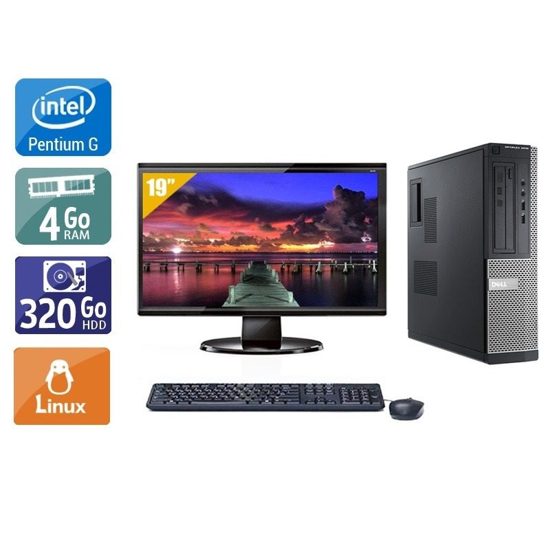 Dell Optiplex 3010 Desktop Pentium G Dual Core avec Écran 19 pouces 4Go RAM 320Go HDD Linux