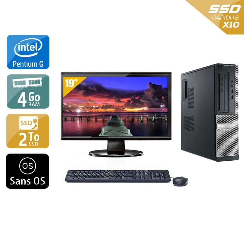 Dell Optiplex 3010 Desktop Pentium G Dual Core avec Écran 19 pouces 4Go RAM 2To SSD Sans OS