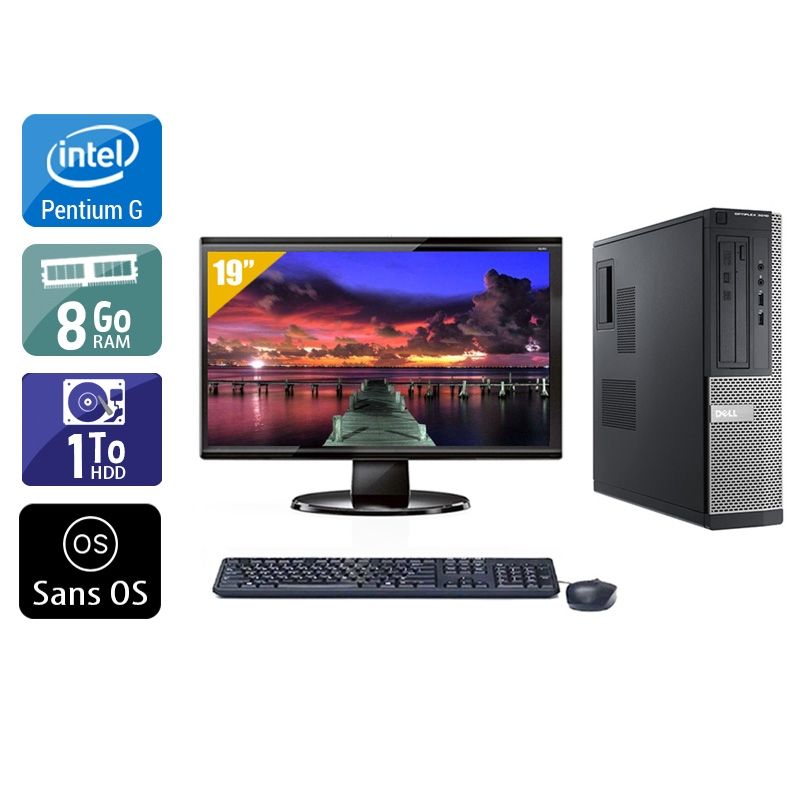 Dell Optiplex 3010 Desktop Pentium G Dual Core avec Écran 19 pouces 8Go RAM 1To HDD Sans OS