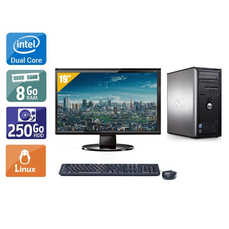 Dell Optiplex 380 Tower Dual Core avec Écran 19 pouces 8Go RAM 250Go HDD Linux
