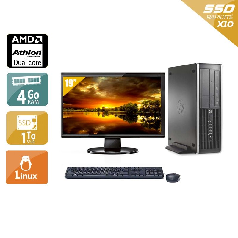 HP Compaq Pro 6005 SFF AMD Athlon Dual Core avec Écran 19 pouces 4Go RAM 2To SSD Linux