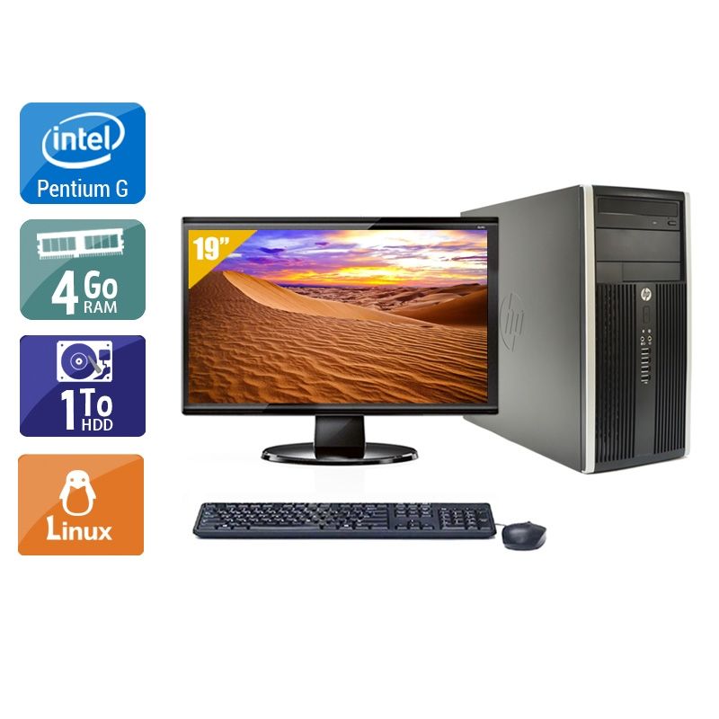 HP Compaq Pro 6200 Tower Pentium G Dual Core avec Écran 19 pouces 4Go RAM 1To HDD Linux