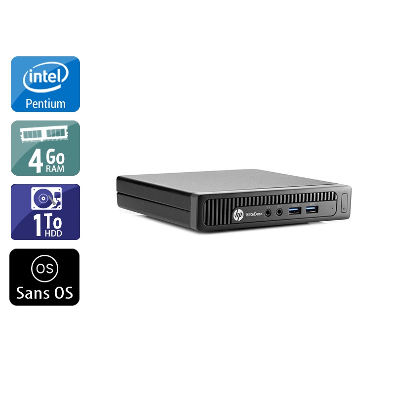 HP EliteDesk 800 G1 TINY Pentium G Dual Core 4Go RAM 1To HDD Sans OS