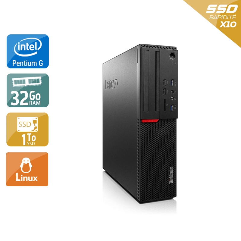 Lenovo ThinkCentre M700 SFF Pentium G Dual Core Gen 6 32Go RAM 2To SSD Linux