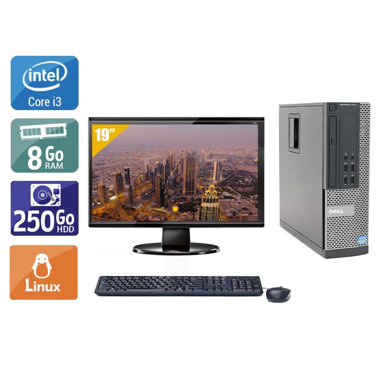 Dell Optiplex 790 SFF i3 avec Écran 19 pouces 8Go RAM 250Go HDD Linux