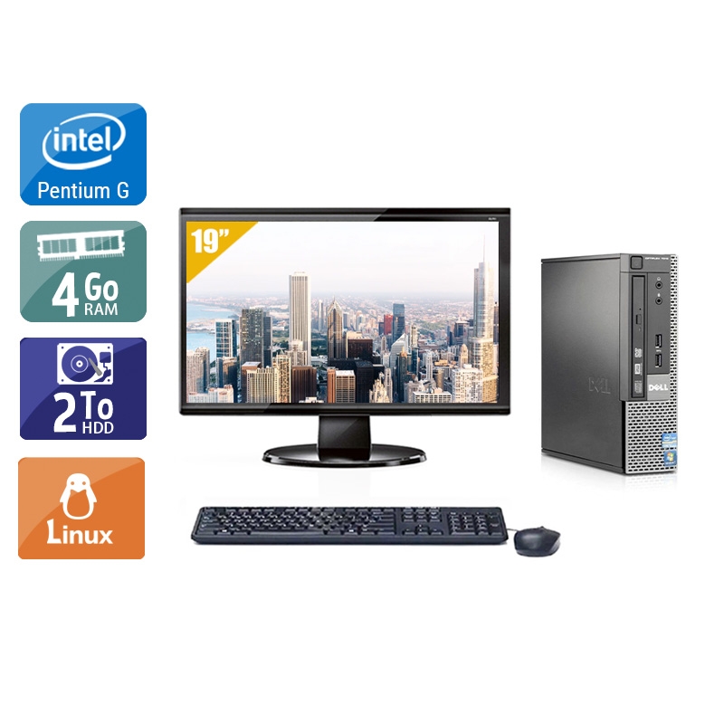 Dell Optiplex 790 USDT Pentium G Dual Core avec Écran 19 pouces 4Go RAM 2To HDD Linux