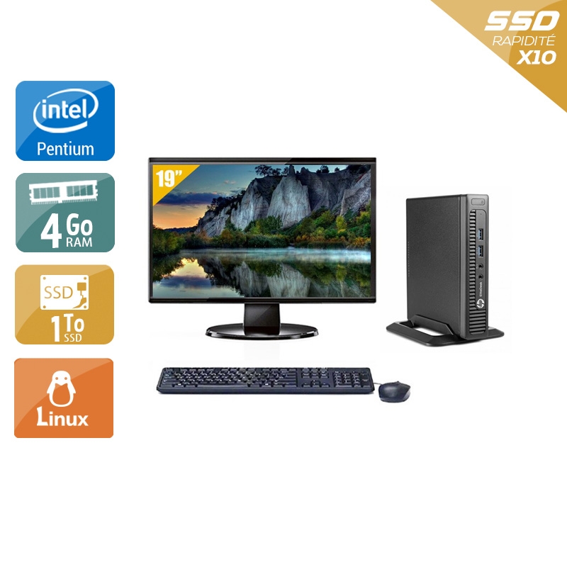 HP EliteDesk 800 G1 TINY Pentium G Dual Core avec Écran 19 pouces 4Go RAM 1To SSD Linux
