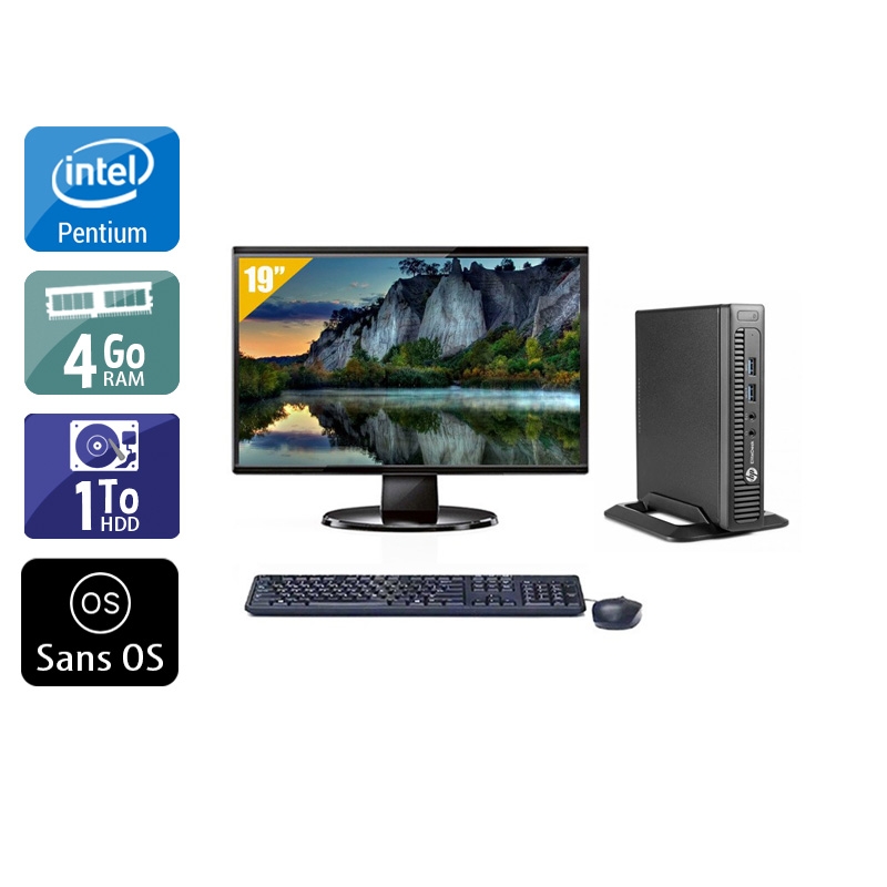 HP EliteDesk 800 G1 TINY Pentium G Dual Core avec Écran 19 pouces 4Go RAM 1To HDD Sans OS