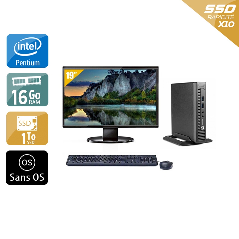 HP EliteDesk 800 G1 TINY Pentium G Dual Core avec Écran 19 pouces 16Go RAM 1To SSD Sans OS