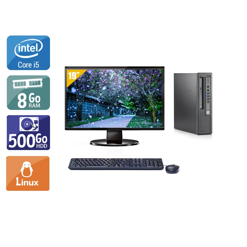 HP EliteDesk 800 G1 USDT i5 avec Écran 19 pouces 8Go RAM 500Go HDD Linux