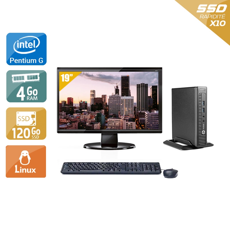 HP ProDesk 600 G1 TINY Pentium G Dual Core avec Écran 19 pouces 4Go RAM 120Go SSD Linux