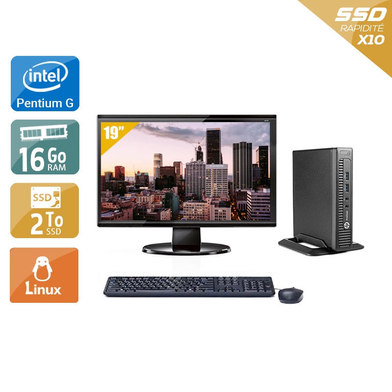 HP ProDesk 600 G1 TINY Pentium G Dual Core avec Écran 19 pouces 16Go RAM 2To SSD Linux
