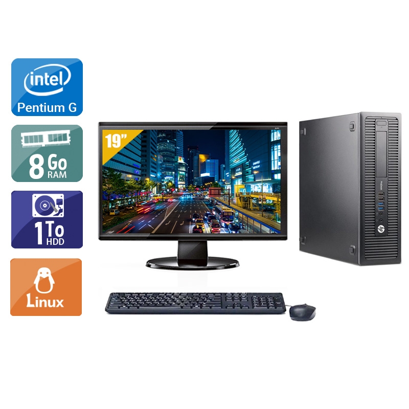 HP ProDesk 600 G1 SFF Pentium G Dual Core avec Écran 19 pouces 8Go RAM 1To HDD Linux