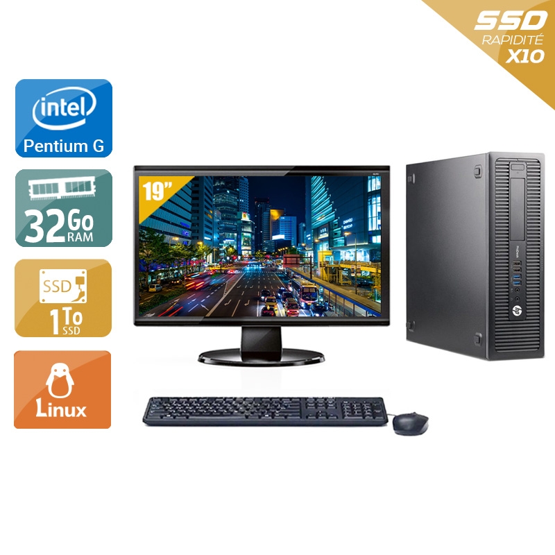 HP ProDesk 600 G1 SFF Pentium G Dual Core avec Écran 19 pouces 32Go RAM 1To SSD Linux
