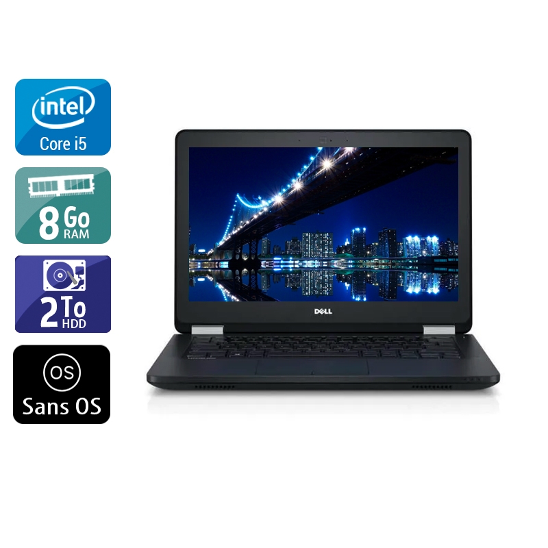 Dell Latitude E5270 i5 Gen 6 8Go RAM 2To HDD Sans OS